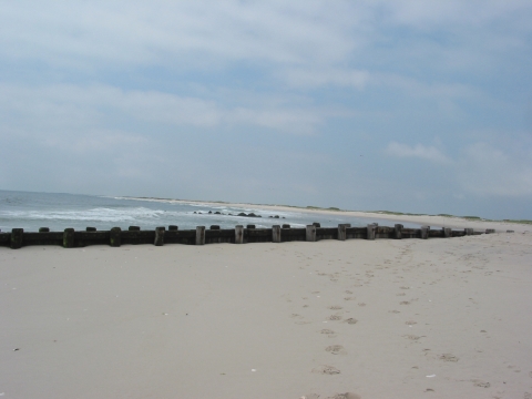 New Jersey