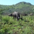 Hluhluwe