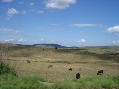 Hluhluwe - auf der Fahrt nach Hluhluwe Hluhluwe - auf der Fahrt nach Hluhluwe