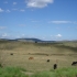 auf der Fahrt nach Hluhluwe
