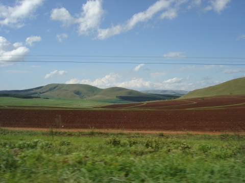 Hluhluwe - auf der Fahrt nach Hluhluwe Hluhluwe - auf der Fahrt nach Hluhluwe