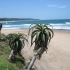 Blythedale Beach
