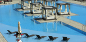 The M Resort Pool