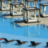 The M Resort Pool