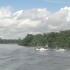 Immernoch aufm Amazonas Immernoch aufm Amazonas