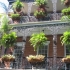 French Quarter French Quarter
