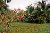 Tortuguero