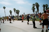 Venice beach