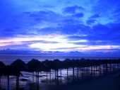 Ilha de Marajo