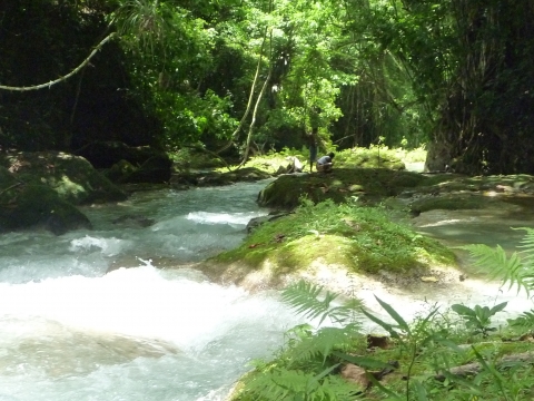 Oracabessa - White River