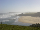 Wild Coast