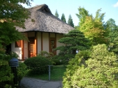 Planten 
