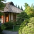 Planten 