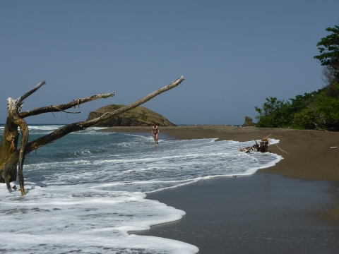 Port Antonio - Black Sand Beach, 1 Std. Wanderung von der River Lodge