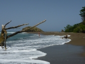 Black Sand Beach, 1 Std. Wanderung von der River Lodge