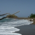 Black Sand Beach, 1 Std. Wanderung von der River Lodge Black Sand Beach, 1 Std. Wanderung von der River Lodge