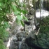 Somerset Falls Somerset Falls