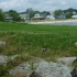 Strand, South Portland Strand, South Portland