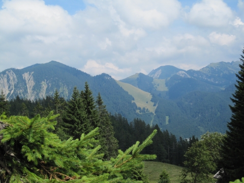 Obere Firstalm - Blick in die umliegenden Berge Obere Firstalm - Blick in die umliegenden Berge