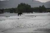 Hagel