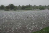Hagel