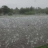 Hagel Hagel