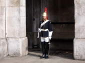 Horse Guard