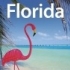 Florida (Lonely Planet Florida) von Jeff Campbell (Autor), Becca Blond (Autor), Jennifer Denniston (Autor), Beth Greenfield (Autor), Adam Karlin (Autor), Willy Volk (Autor)