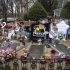 Graceland Graceland