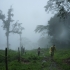 Wanderung im Regen Wanderung im Regen
