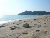 Cala Sinzias