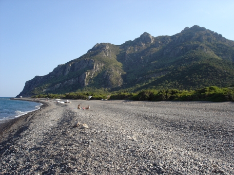 Coccorocci