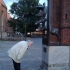Stadtmusikanten Stadtmusikanten