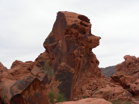 Valley of Fire - poodle rock Valley of Fire - poodle rock