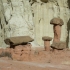 Toadstools Toadstools