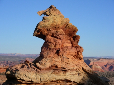 Coyote Buttes South - Seepferdchen Coyote Buttes South - Seepferdchen