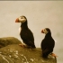 Lundis bei Vik Lundis bei Vik