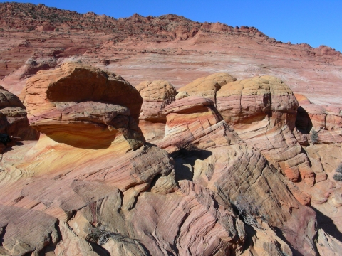Coyote Buttes South - W.P. Coyote Buttes South - W.P.
