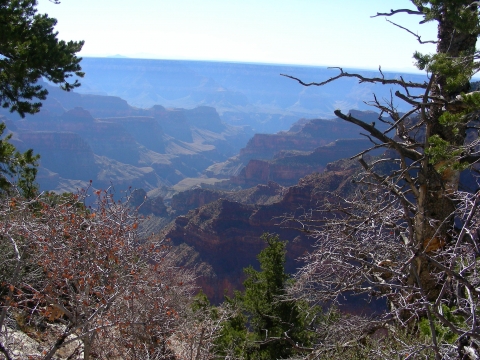 Grand Canyon North Rim Grand Canyon North Rim