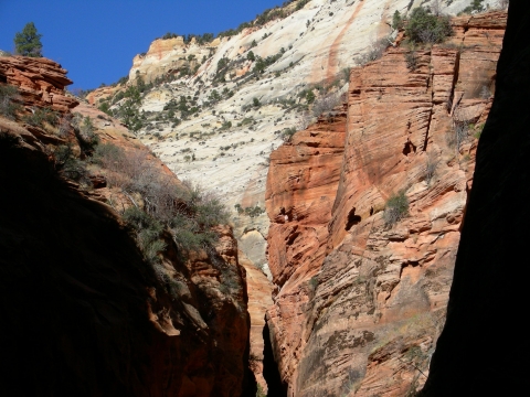 Zion National Park - Echo Canyon liegt am Weg Zion National Park - Echo Canyon liegt am Weg