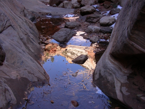 Zion National Park - Spiegelung Zion National Park - Spiegelung