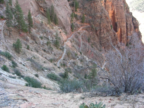 Zion National Park - Kreuzung zum Hidden Valley Zion National Park - Kreuzung zum Hidden Valley