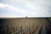 in der Champagne