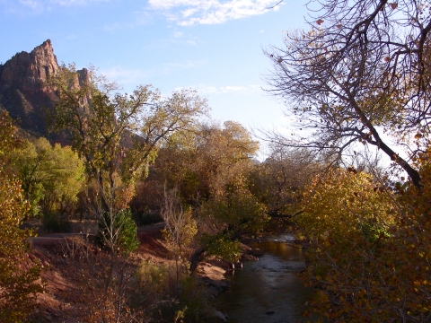 Zion National Park - Herbststimmung am Virgin River Zion National Park - Herbststimmung am Virgin River