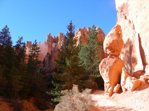 Bryce Canyon - am Weg Bryce Canyon - am Weg