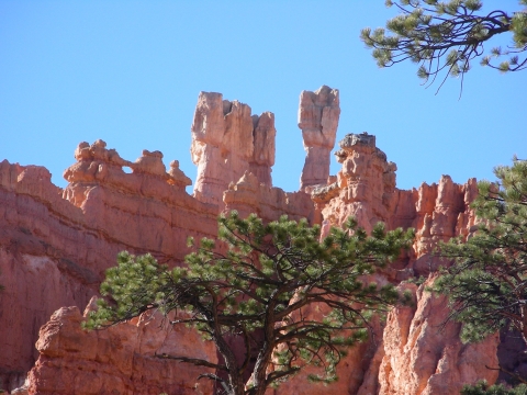 Bryce Canyon - am Mossy Cave Trail Bryce Canyon - am Mossy Cave Trail