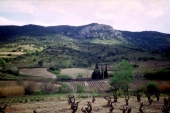 Landschaft im Languedoc-Roussillon