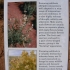 info zum Saltbush info zum Saltbush