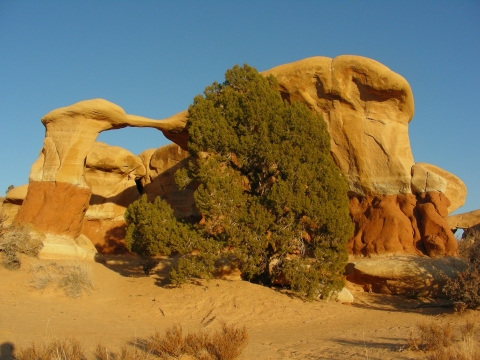 Escalante - Devils Garden Escalante - Devils Garden