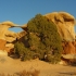 Devils Garden Devils Garden